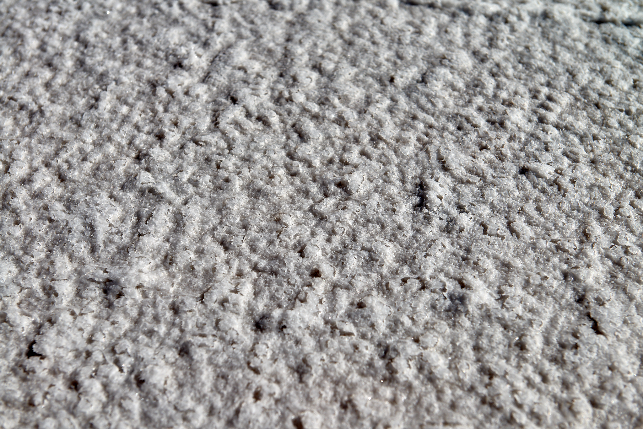 20200312 375 [볼리비아] 우유니 소금사막